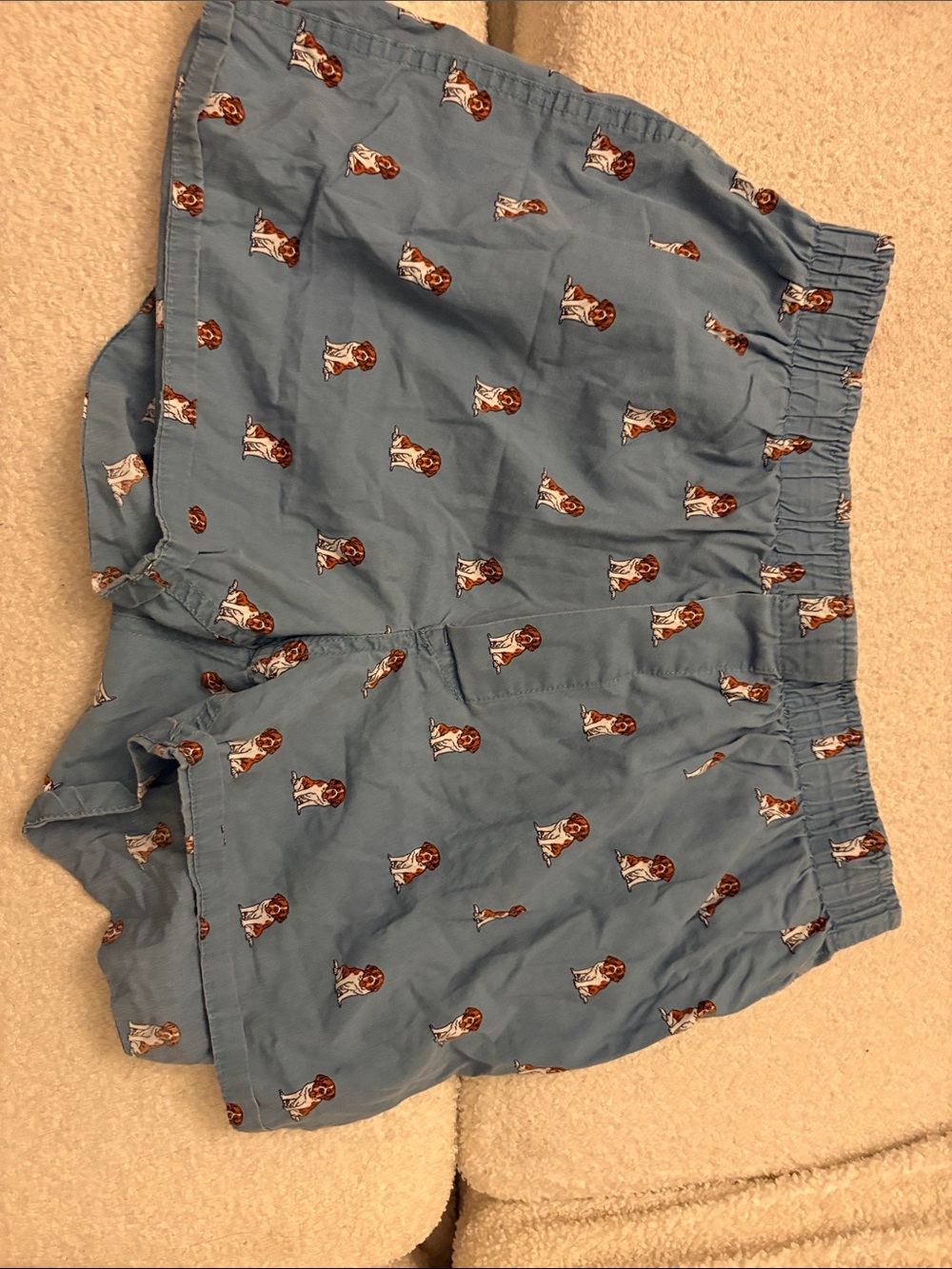 Mercanti Fiorentini Light Blue Cotton Boxer Shorts with Dog Print